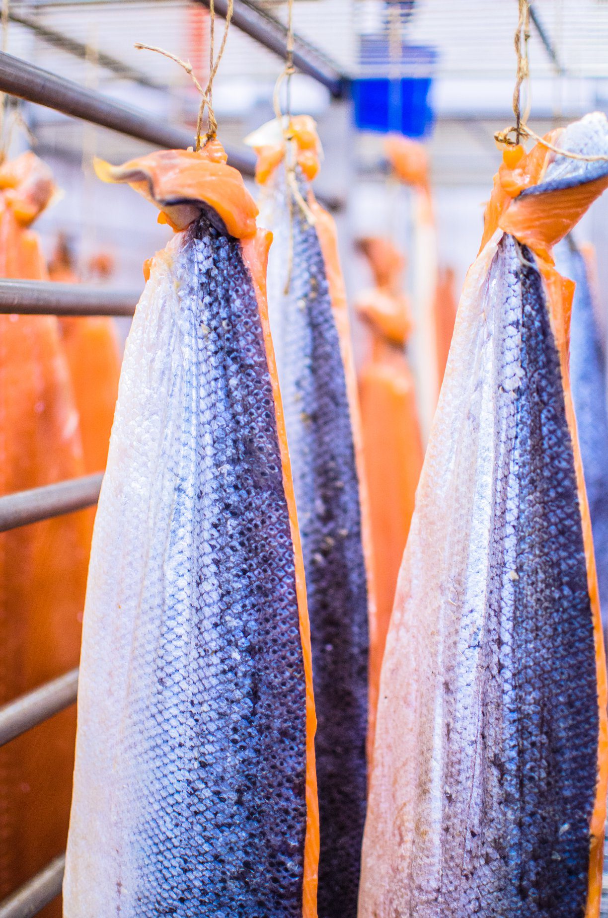 L'entreprise Sodial produit des saumons fumés