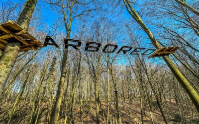 Arboréo : une nouvelle activité familiale à faire le week-end à Charleroi